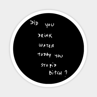 DID YOU DRINK WATER TODAY YOU STUPID Bitch ? Magnet